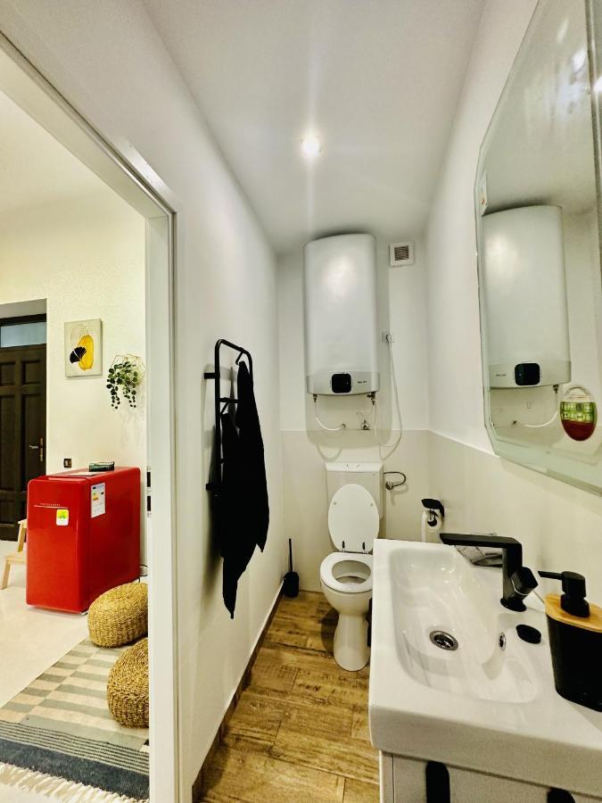 Clever Studio Near Central Shopping Center Cluj-Napoca Eksteriør bilde