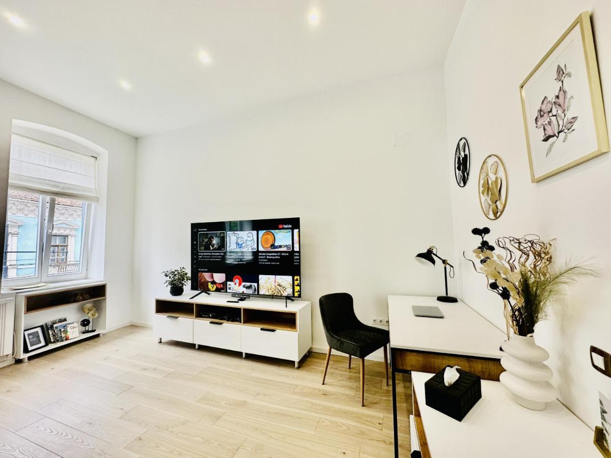 Clever Studio Near Central Shopping Center Cluj-Napoca Eksteriør bilde